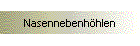 Nasennebenhöhlen